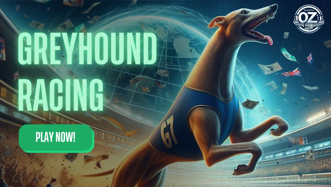 Greyhound Racing Sports Betting - Play now!